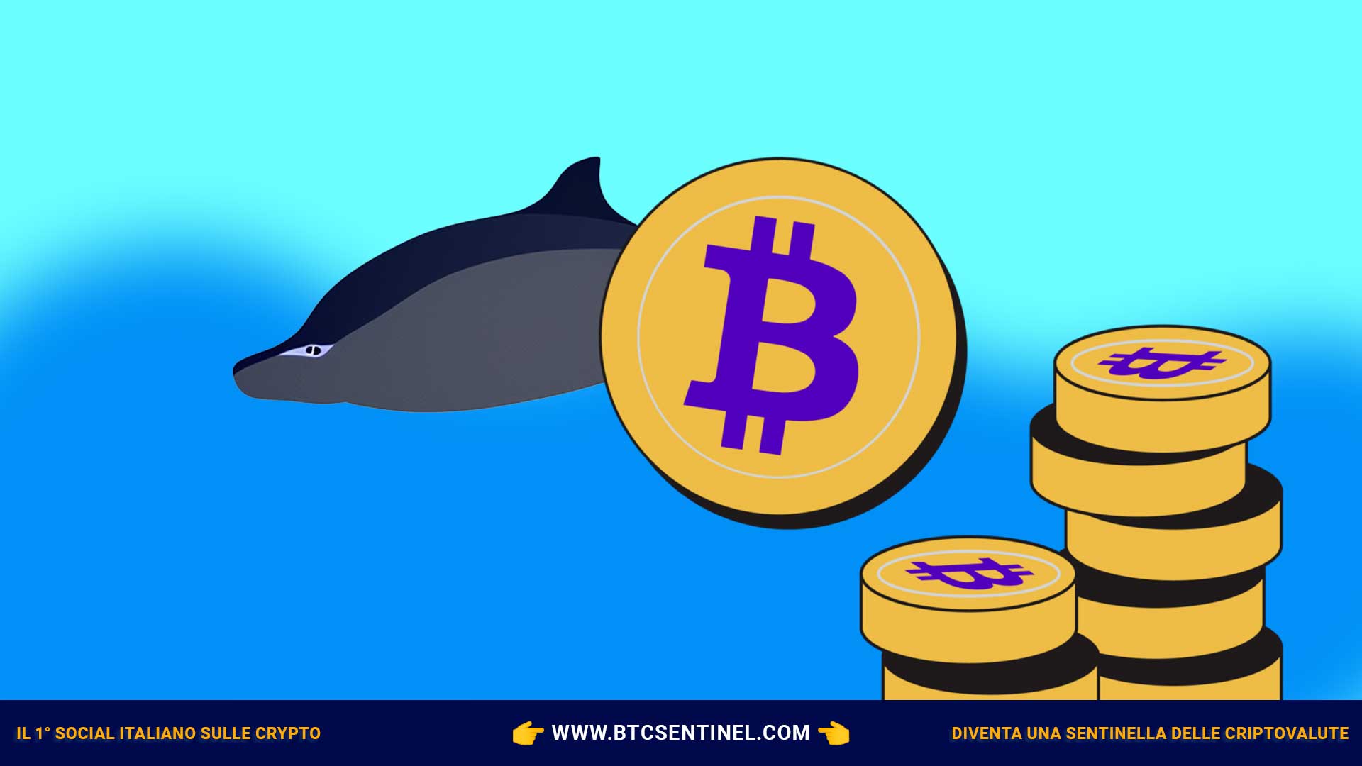 Tornano le balene di Bitcoin? Come può cambiare il mercato