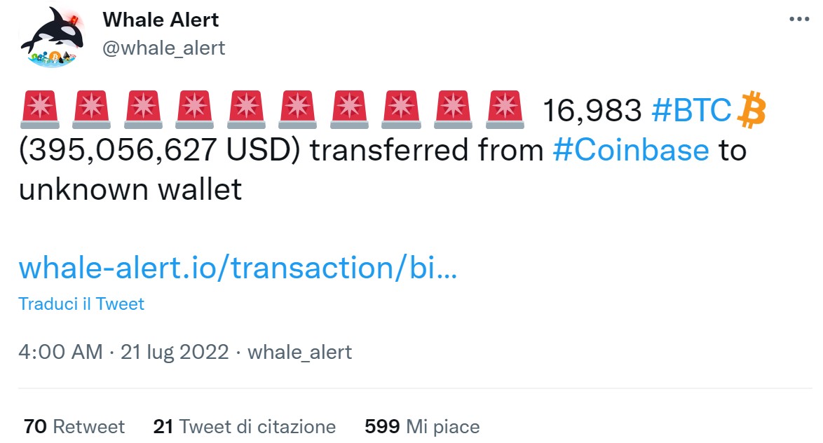 Whale-Alert-Tweet-Bitcoin.jpeg