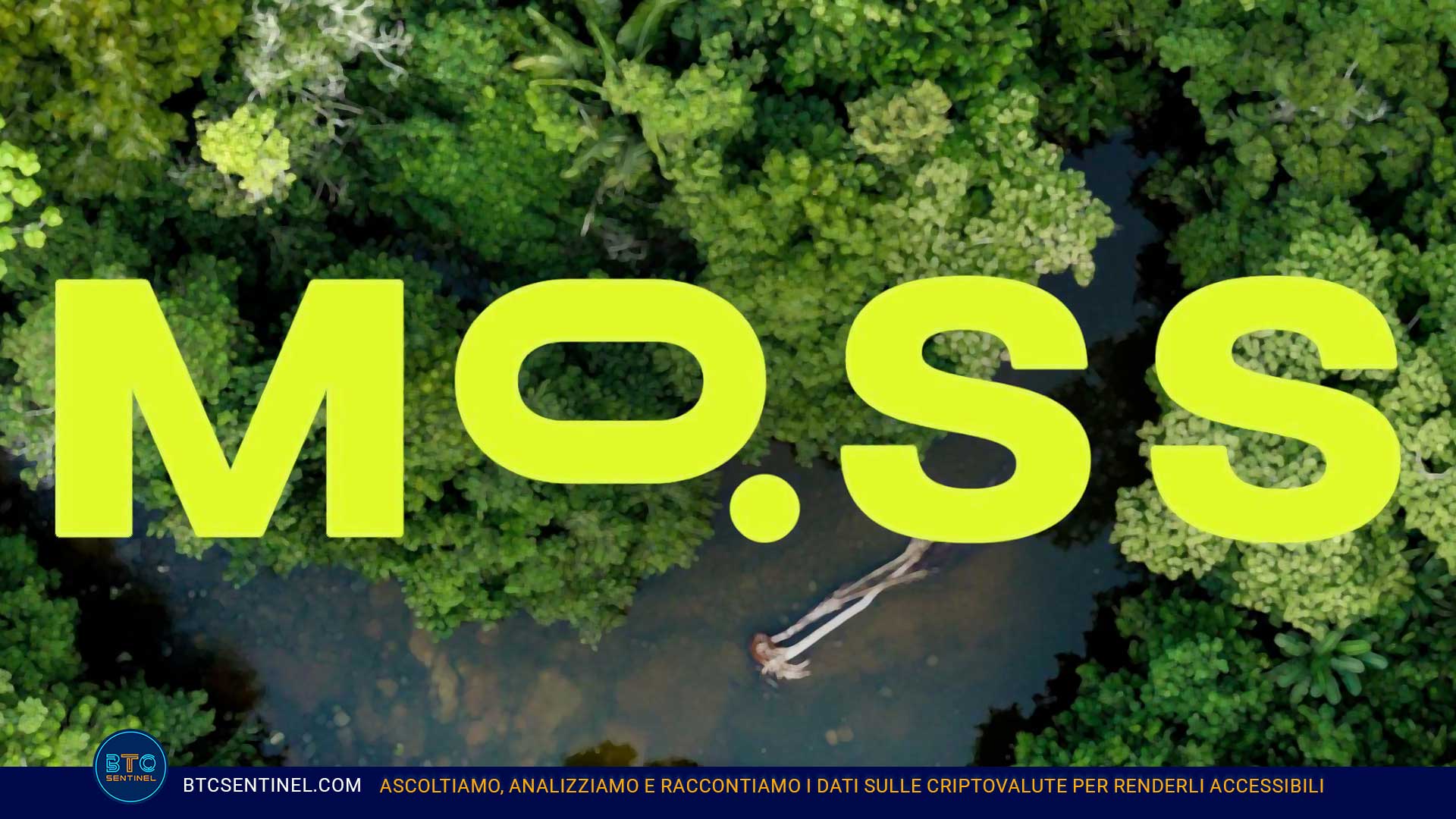 MCO2: tutto quello che devi sapere su Moss Carbon Credit